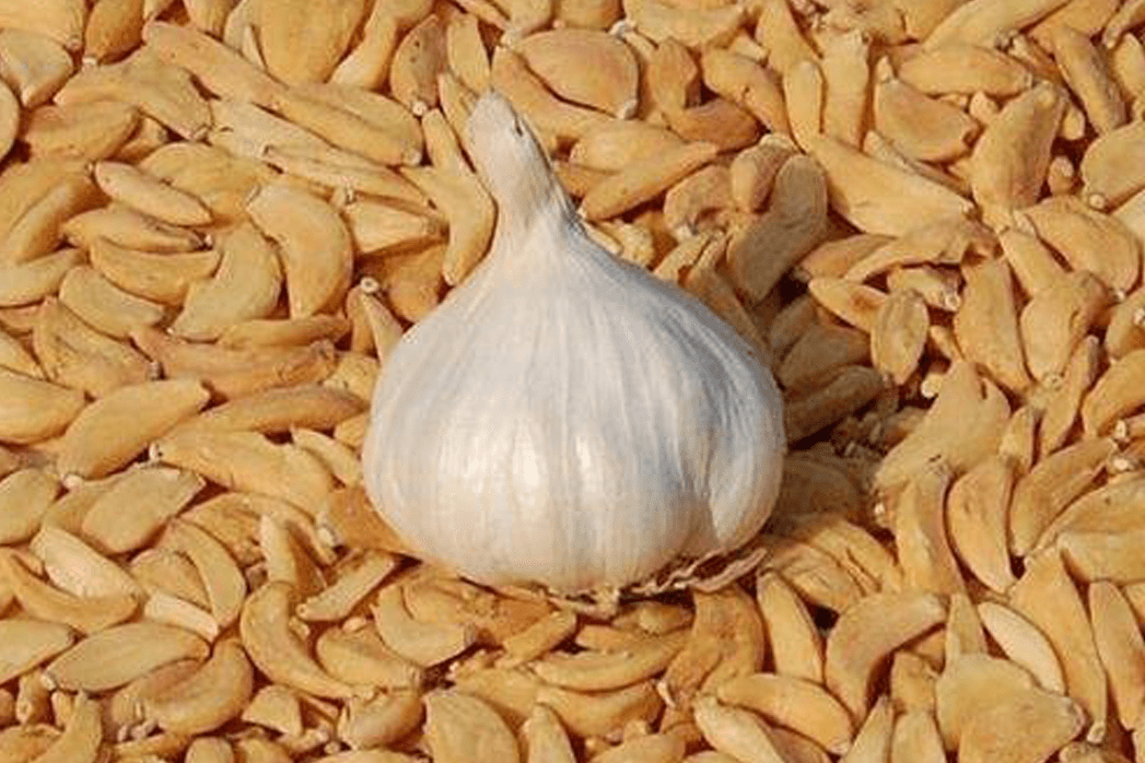 Dehydrated Garlic